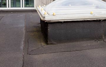 disadvantages of New Trows flat roofs